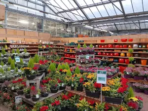 botanic® Saint Mitre
