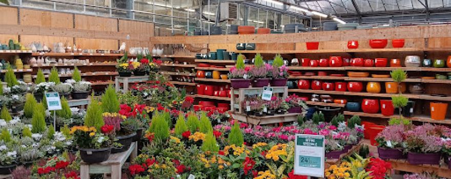 botanic® Saint Mitre