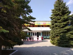Dzo "Sonyachnyy"