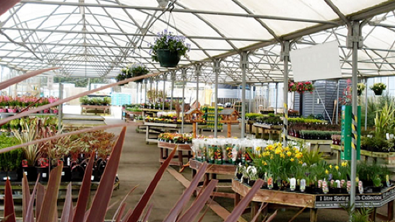 The Barn by Cherry Lane