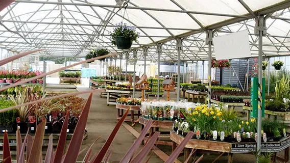 The Barn by Cherry Lane