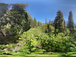 Paris Springs Campground