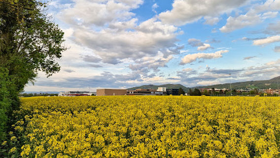 Mehrzweckhalle Löhrenacker