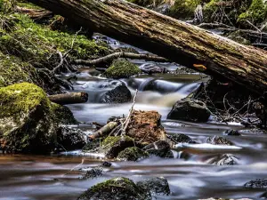 Getå Naturreservat