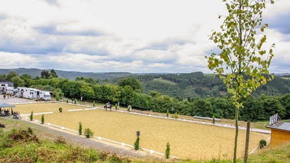 Breckerfeld