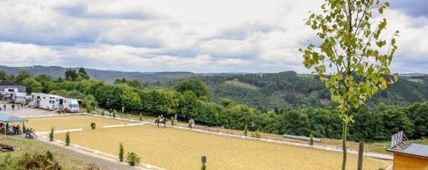 Reitanlage Büttner - Reit- und Fahrverein Bühren-Breckerfeld e. V.