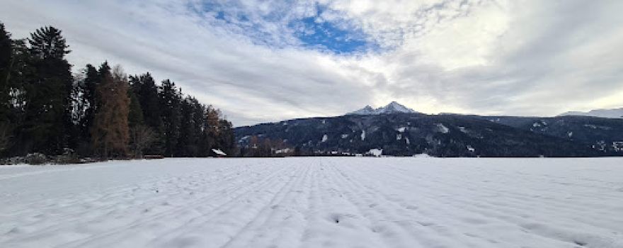 Oberer Wald