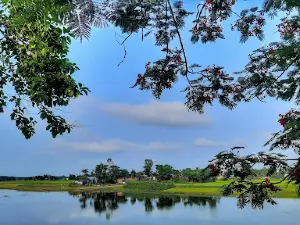 Dhubri Park