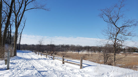 Sterne's Woods & Fen