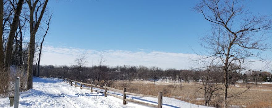 Sterne's Woods & Fen