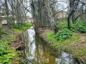 Bosque de Valorio