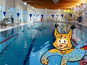 Tervakosken Swimming pool