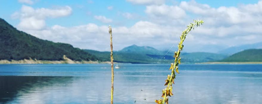 Presa de Sabana Yegua