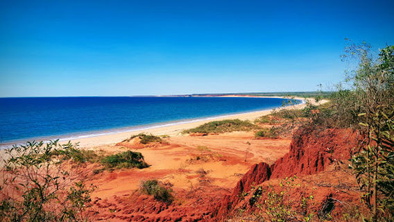 Munget Aboriginal Corporation WHALESONG