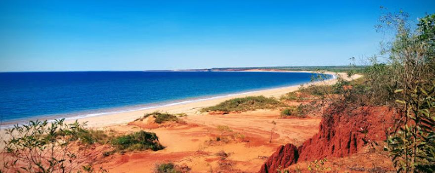 WHALESONG, CAMPGROUNDS AND CAMELS