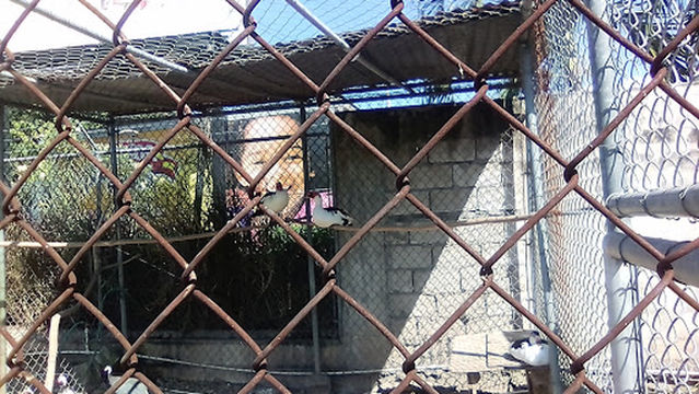 Super Pet and Garden Centre