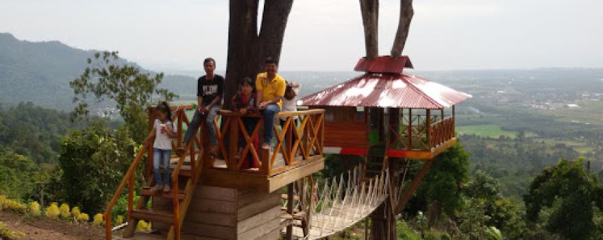 Tree House Sarasah Sungai Buluh
