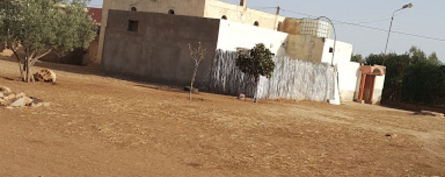 مسجد بدر 1