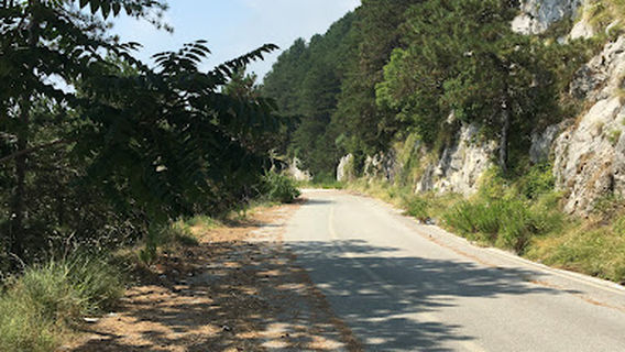 Piramida
