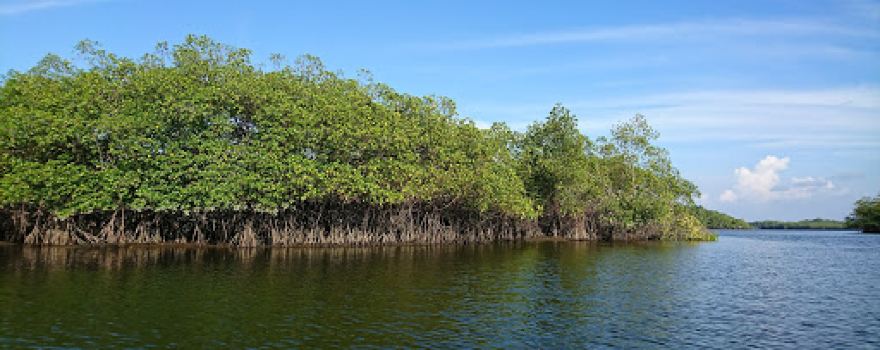 Natural Sanquianga National Park
