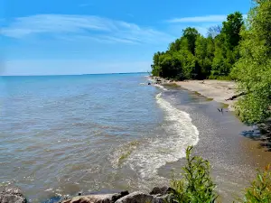 Fischer Creek Conservation Area