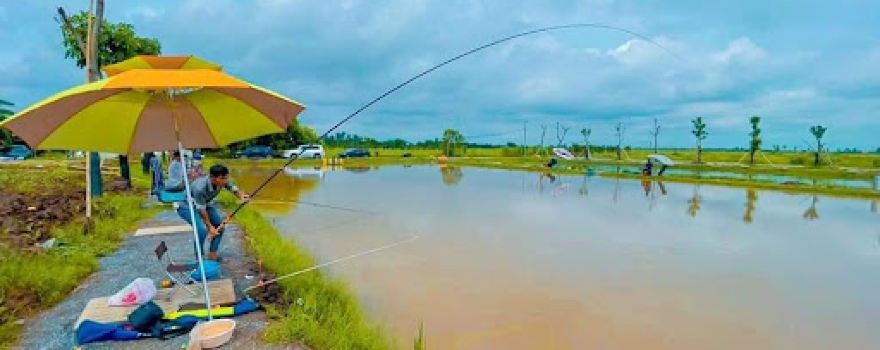Hồ câu Thuần Việt Hưng Yên