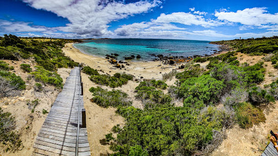 Fishermans Point Campground