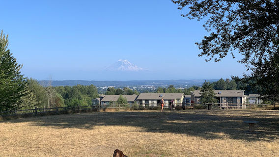 Grandview Off-Leash Dog Park