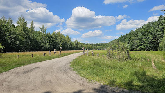 Pole Namiotowe DPT Granica