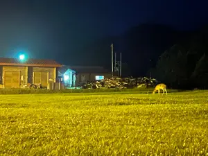 Chikushikoi Camping Ground