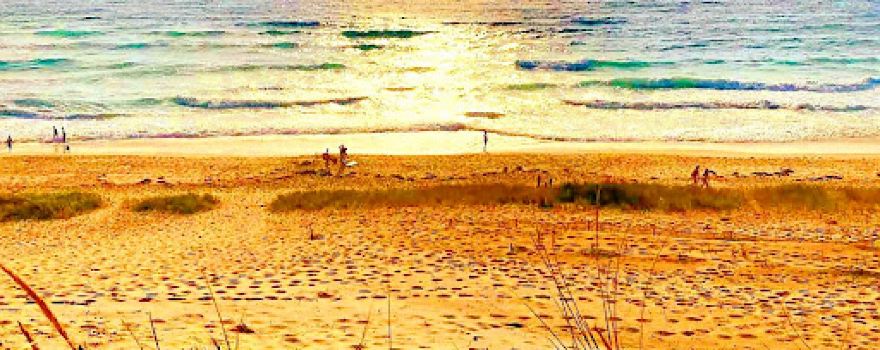 Plage du Vivier
