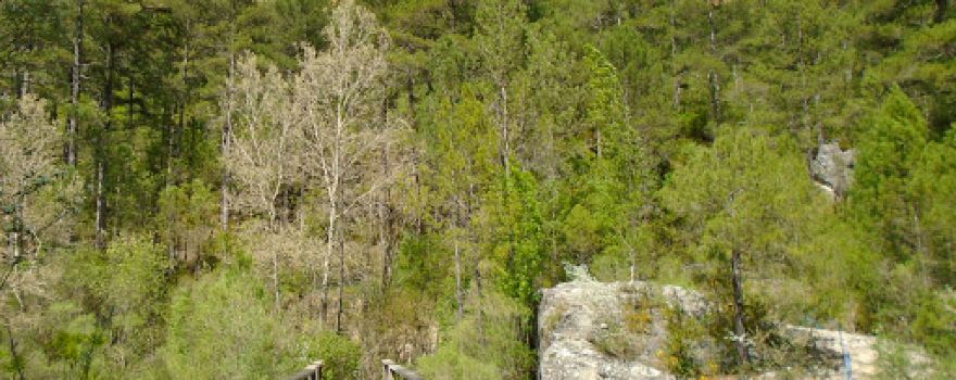 Senderismo por Salto de Poveda y Laguna Taravillas