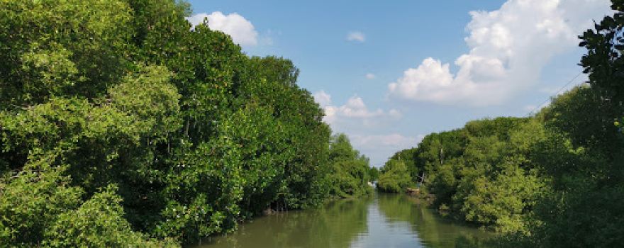 Taman Mangrove Morosari Demak