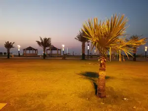 Salwa Family Park