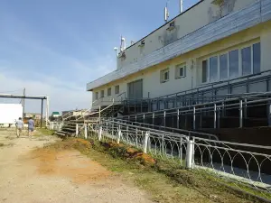 Skver Veteranov