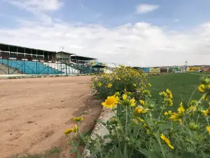 Hargeisa Stadium