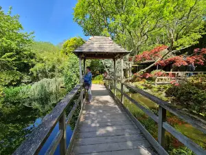 The Japanese Garden