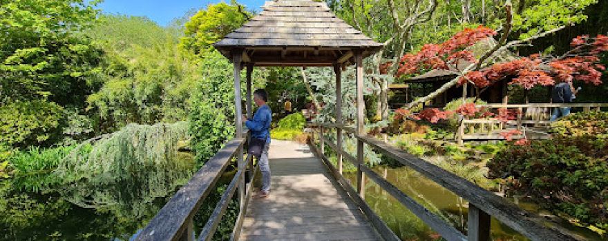 The Japanese Garden