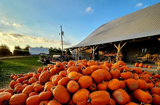 Beasley's Orchard