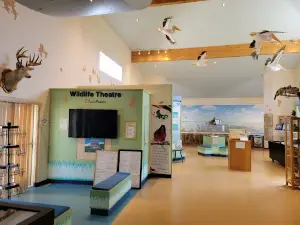 Chaplin Nature Centre