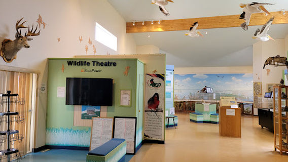 Chaplin Nature Centre