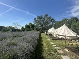 Grădina Magică a Lavandei