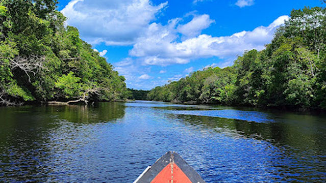 Reserva Extrativista Gurupá-Melgaço