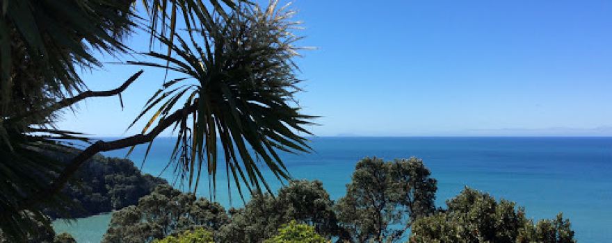 Ohope Lookout