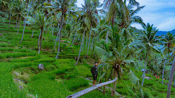 Wisata Alam Diwu Wau