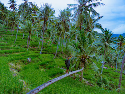 Wisata Alam Diwu Wau