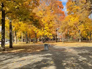 Riverside Park Pool