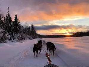 Alaska's Trail King Adventures