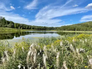 Chickakoo Lake Recreation Area