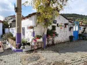 Mandalina Ekolojik Tarım Turizmi Yerleşkesi